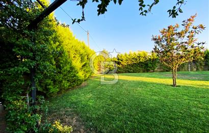 Nilüfer Dağyenice 2 Dönüm İçerisinde Havuzlu Müstakil FIRSAT