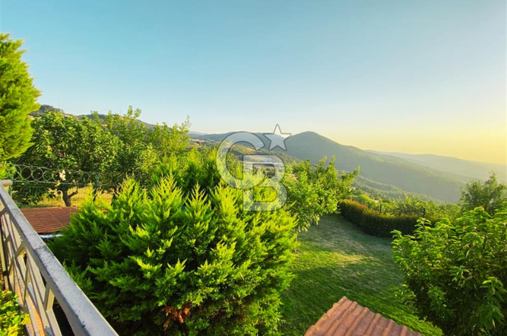 Nilüfer Dağyenice 2 Dönüm İçerisinde Havuzlu Müstakil FIRSAT