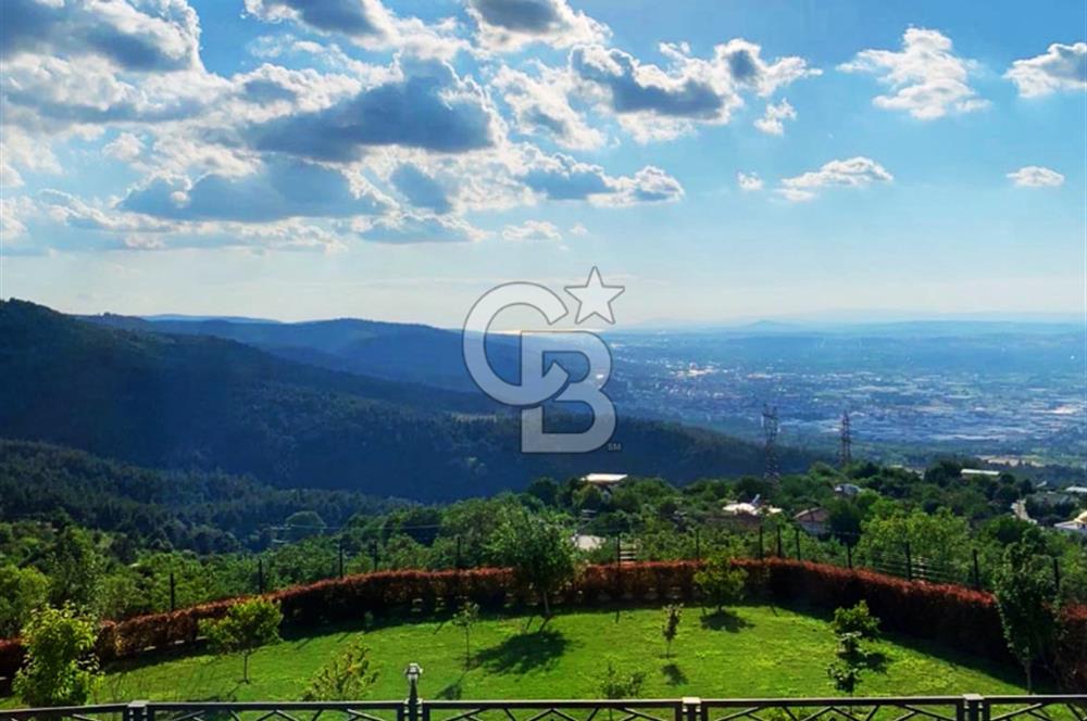 Nilüfer Dağyenice 2 Dönüm İçerisinde Havuzlu Müstakil FIRSAT