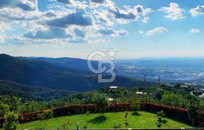 Nilüfer Dağyenice 2 Dönüm İçerisinde Havuzlu Müstakil FIRSAT