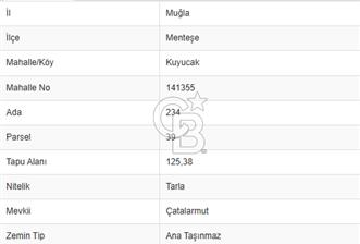 Menteşe Kuyucak Mükemmel Konumda Fırsat Tarla - 1 - 338921