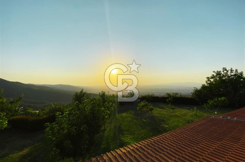 Nilüfer Dağyenice 2 Dönüm İçerisinde Havuzlu Müstakil FIRSAT