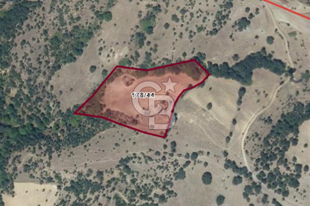 CB LEADER DEN SATILIK TARLA