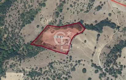 CB LEADER DEN SATILIK TARLA