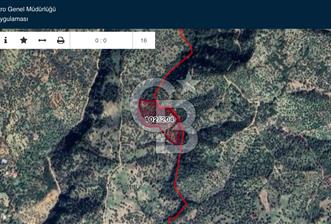 Aydın Aşağıkayacık’ta Satılık Zeytinlik - 1 - 338922