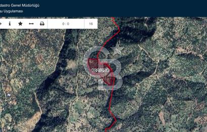 Aydın Aşağıkayacık’ta Satılık Zeytinlik