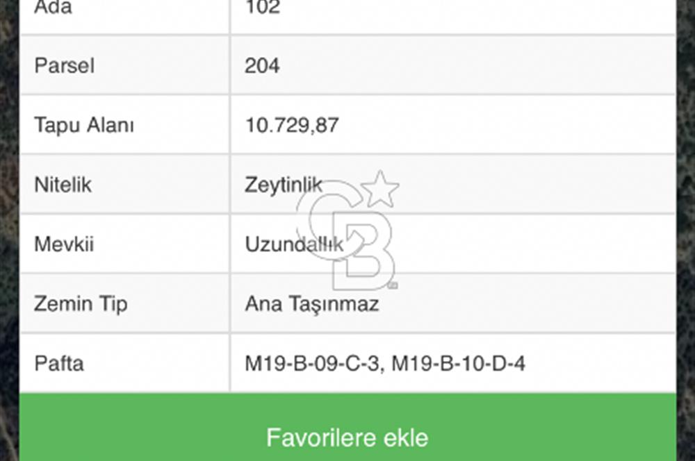 Aydın Aşağıkayacık’ta Satılık Zeytinlik