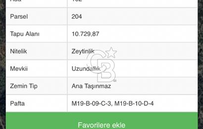 Aydın Aşağıkayacık’ta Satılık Zeytinlik