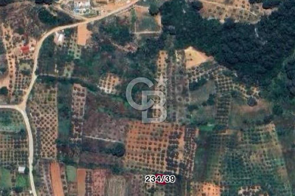 Menteşe Kuyucak Mükemmel Konumda Fırsat Tarla