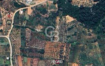 Menteşe Kuyucak Mükemmel Konumda Fırsat Tarla