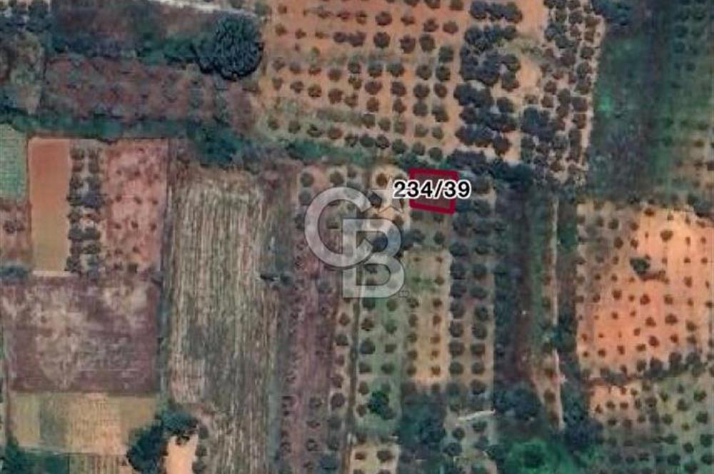 Menteşe Kuyucak Mükemmel Konumda Fırsat Tarla