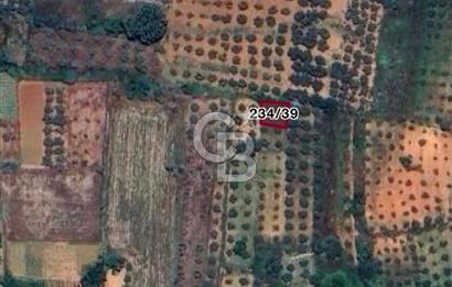 Menteşe Kuyucak Mükemmel Konumda Fırsat Tarla