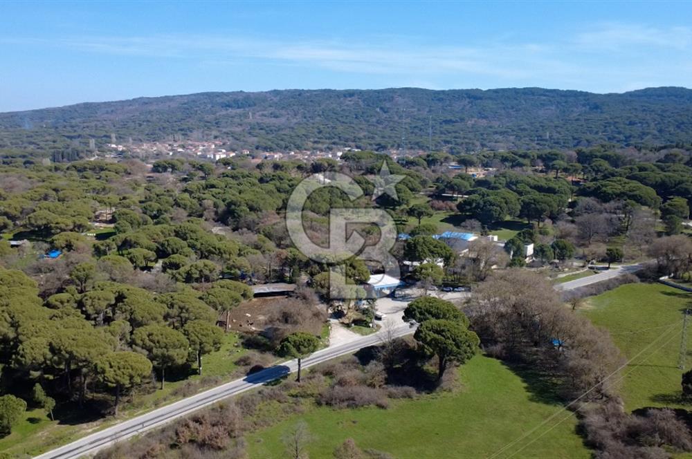 CB ODAK'TAN BERGAMA KOZAKTA ANA YOLDA 15 KÖYÜN TEK BENZİNLİĞİ!