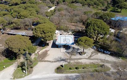 CB ODAK'TAN BERGAMA KOZAKTA ANA YOLDA 15 KÖYÜN TEK BENZİNLİĞİ!