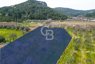 Kuşadası Kirazlı’da Satılık Tarla | 3887 m² | İçinde 45 m² Yapı Kayıtlı Ev | Su ve Elektrik Var - 5 - 339039