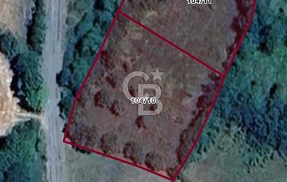 Kastamonu Merkez Karakuzu Köyünde Satılık Tarla – 2 Tapu Tek Parça Satılık