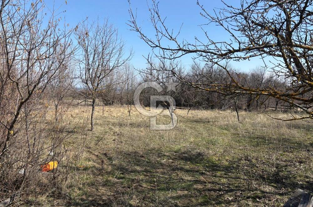 Kastamonu Merkez Karakuzu Köyünde Satılık Tarla – 2 Tapu Tek Parça Satılık