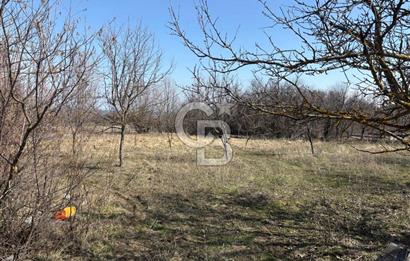 Kastamonu Merkez Karakuzu Köyünde Satılık Tarla – 2 Tapu Tek Parça Satılık