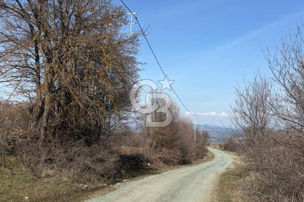 Kastamonu Merkez Karakuzu Köyünde Satılık Tarla – 2 Tapu Tek Parça Satılık