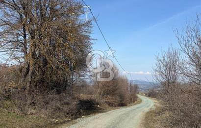 Kastamonu Merkez Karakuzu Köyünde Satılık Tarla – 2 Tapu Tek Parça Satılık