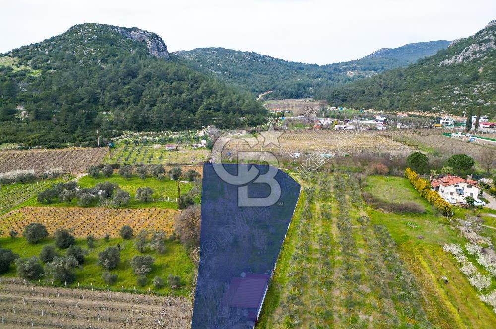 Kuşadası Kirazlı’da Satılık Tarla | 3887 m² | İçinde 45 m² Yapı Kayıtlı Ev | Su ve Elektrik Var