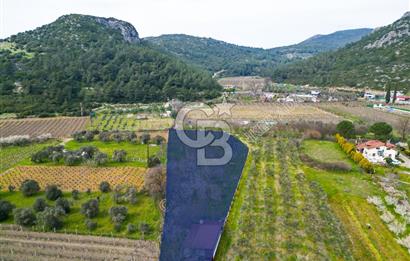 Kuşadası Kirazlı’da Satılık Tarla | 3887 m² | İçinde 45 m² Yapı Kayıtlı Ev | Su ve Elektrik Var