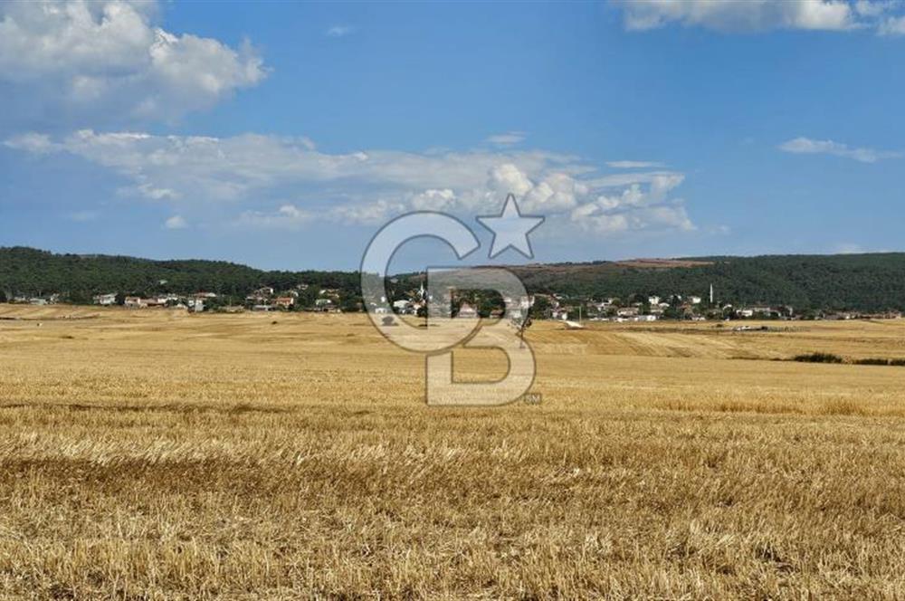 Edirne Keşan MecidiyeKöyü Yatırımlık SarosSahil 5km 4638 m²Tarla