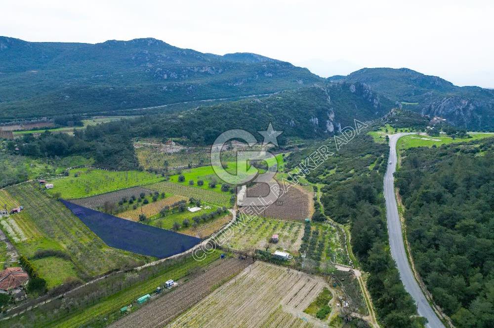 Kuşadası Kirazlı’da Satılık Tarla | 3887 m² | İçinde 45 m² Yapı Kayıtlı Ev | Su ve Elektrik Var