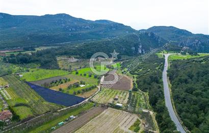 Kuşadası Kirazlı’da Satılık Tarla | 3887 m² | İçinde 45 m² Yapı Kayıtlı Ev | Su ve Elektrik Var