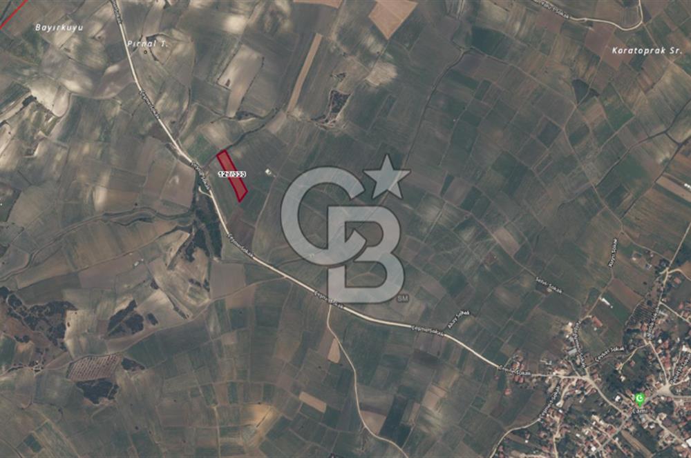 Edirne Keşan MecidiyeKöyü Yatırımlık SarosSahil 5km 4638 m²Tarla