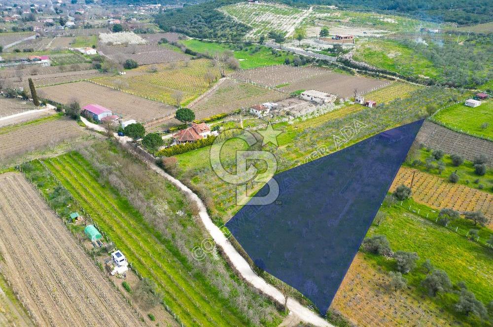 Kuşadası Kirazlı’da Satılık Tarla | 3887 m² | İçinde 45 m² Yapı Kayıtlı Ev | Su ve Elektrik Var