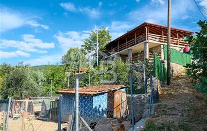 Bayramiç Toluklar'da Satılık Müstakil Taş Ev