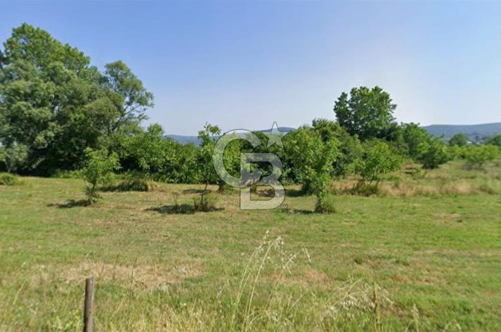 ADAPAZARI MAHMUDİYE'DE SATILIK TEK TAPULU 10.460 M2 ARAZİ