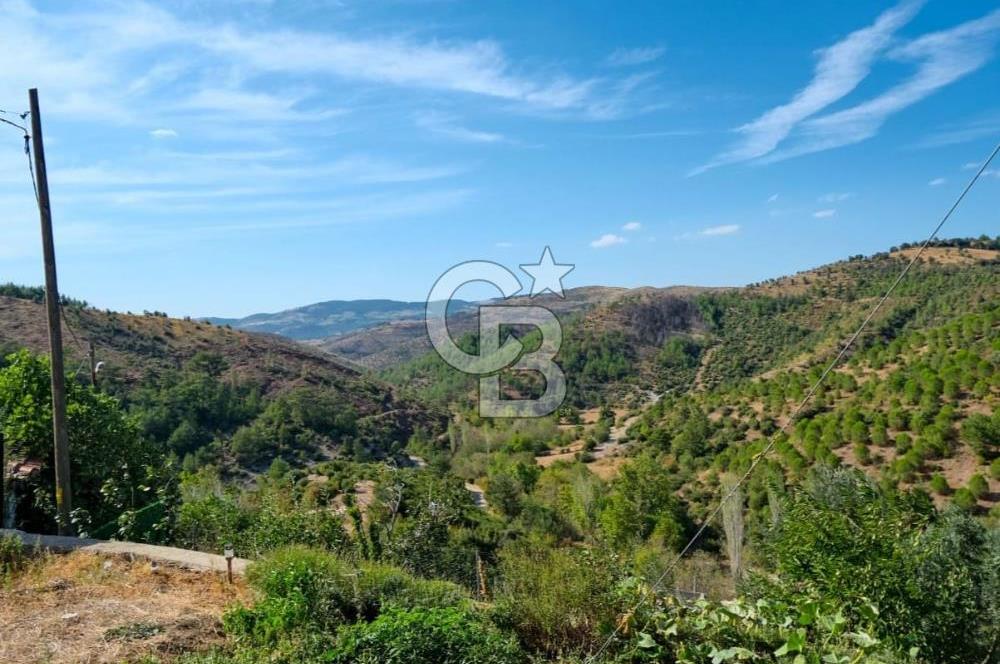 Bayramiç Toluklar'da Satılık Müstakil Taş Ev