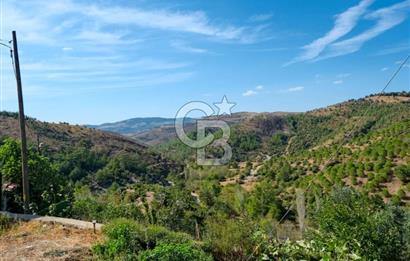 Bayramiç Toluklar'da Satılık Müstakil Taş Ev