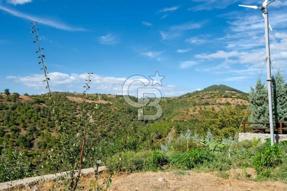 Bayramiç Toluklar'da Satılık Müstakil Taş Ev