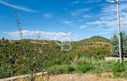 Bayramiç Toluklar'da Satılık Müstakil Taş Ev