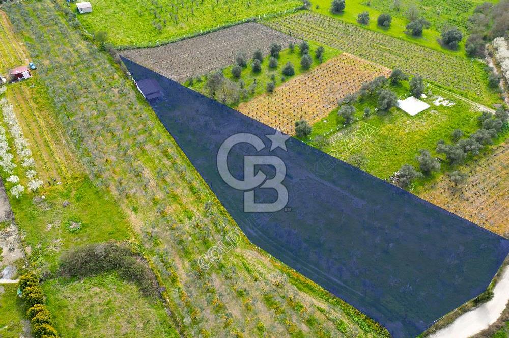 Kuşadası Kirazlı’da Satılık Tarla | 3887 m² | İçinde 45 m² Yapı Kayıtlı Ev | Su ve Elektrik Var