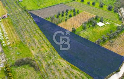 Kuşadası Kirazlı’da Satılık Tarla | 3887 m² | İçinde 45 m² Yapı Kayıtlı Ev | Su ve Elektrik Var