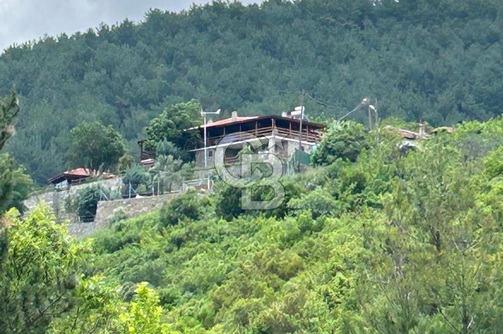 Bayramiç Toluklar'da Satılık Müstakil Taş Ev