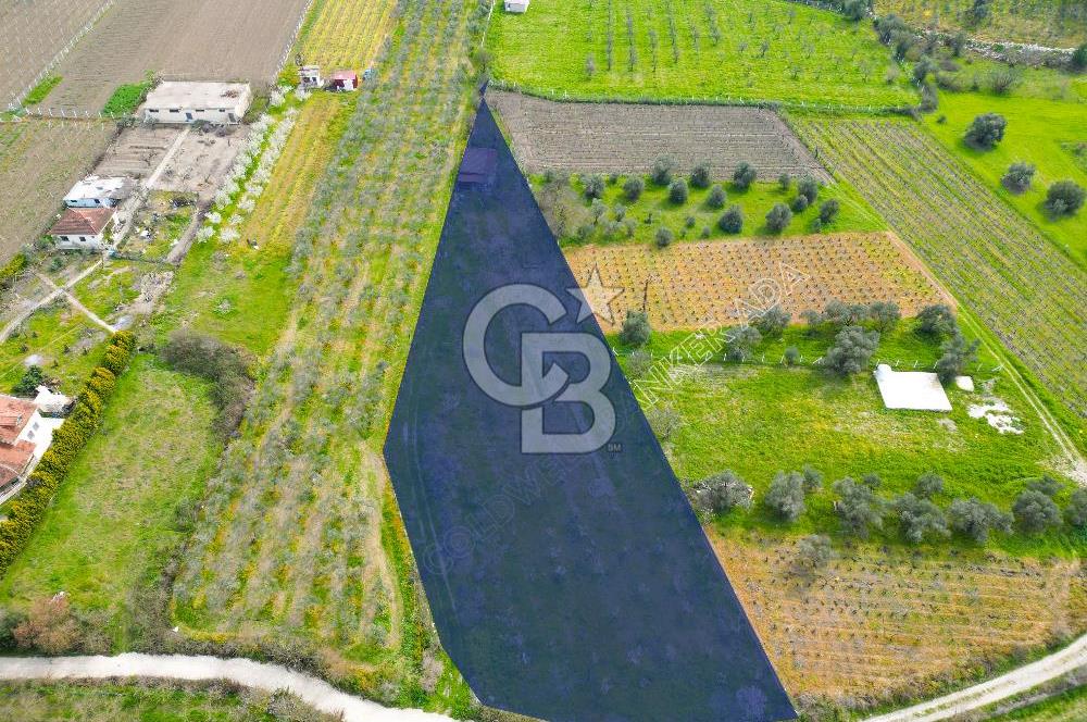 Kuşadası Kirazlı’da Satılık Tarla | 3887 m² | İçinde 45 m² Yapı Kayıtlı Ev | Su ve Elektrik Var