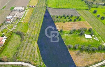 Kuşadası Kirazlı’da Satılık Tarla | 3887 m² | İçinde 45 m² Yapı Kayıtlı Ev | Su ve Elektrik Var
