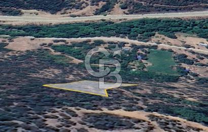  İZMİR BAYINDIR DEREKÖYDE SATILIK ZEYTİNLİK