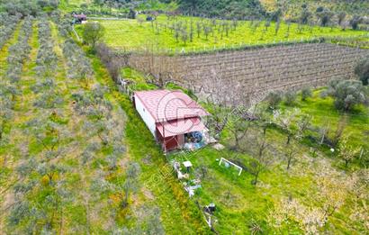 Kuşadası Kirazlı’da Satılık Tarla | 3887 m² | İçinde 45 m² Yapı Kayıtlı Ev | Su ve Elektrik Var