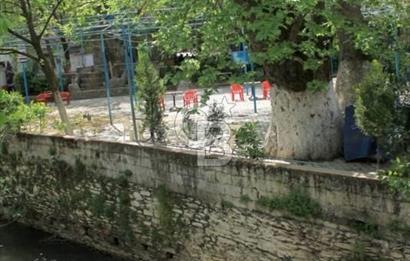  İZMİR BAYINDIR DEREKÖYDE SATILIK ZEYTİNLİK