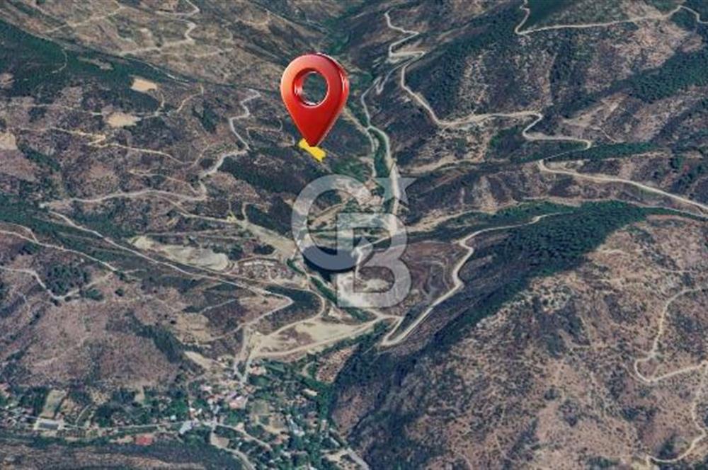  İZMİR BAYINDIR DEREKÖYDE SATILIK ZEYTİNLİK