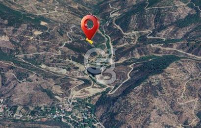  İZMİR BAYINDIR DEREKÖYDE SATILIK ZEYTİNLİK