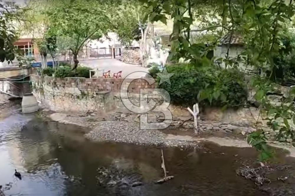  İZMİR BAYINDIR DEREKÖYDE SATILIK ZEYTİNLİK