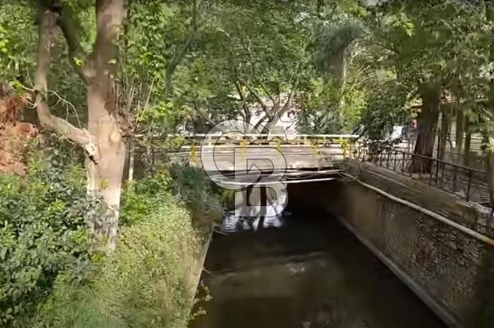  İZMİR BAYINDIR DEREKÖYDE SATILIK ZEYTİNLİK