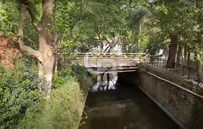  İZMİR BAYINDIR DEREKÖYDE SATILIK ZEYTİNLİK